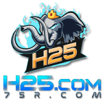 h25